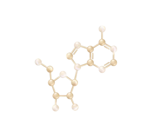 ADENOSINA